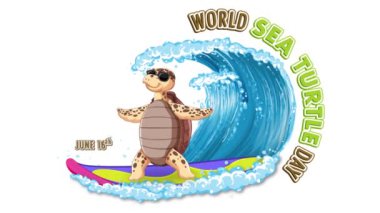 Dünya Deniz Kaplumbağaları Günü 'nü kutlamak için animasyon kaplumbağa sörfü