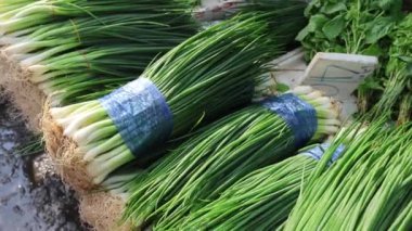 Pazarda yeşil soğan paketleri bağlayan eller