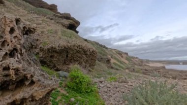 Dalgalar ve bitki örtüsüyle kayalık sahil şeridi