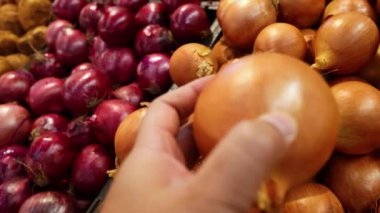 Kırmızı ve sarı çeşitler arasında elle soğan toplamak