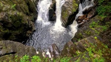 Şelale, gür ormanda kayalık arazide çağlayarak ilerliyor.