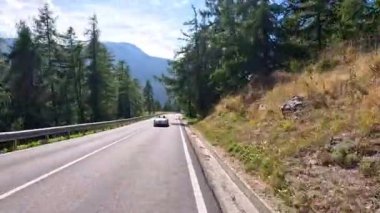 Dağlık orman yolunda giden araba.