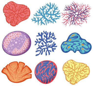 Değişik deniz yaşam formlarının canlı tasviri