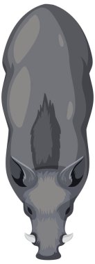 Yukarıdan bir yaban domuzu tasviri