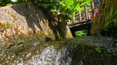 Yosunlu taş kanaldan akan su