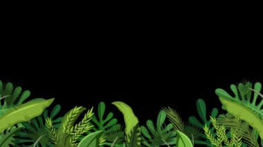 Canlı tropikal bitkilerin canlandırılmış büyümesi.
