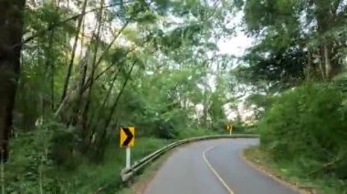 Kıvrımlı bir orman yolu boyunca yolculuk