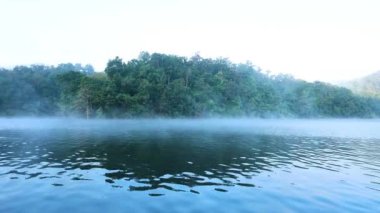 Sis ve orman tepeleri olan sakin bir nehir.