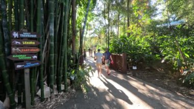 Avustralya Hayvanat Bahçesi 'nde yürüyen insanlar