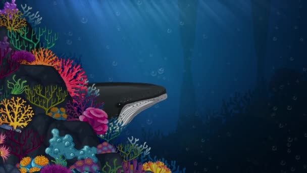 Animated whale swims past colorful coral in deep sea