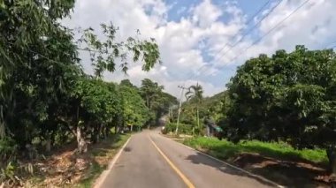 Yeşilliklerle çevrili bir yolda ilerliyor.