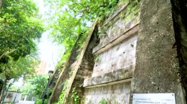 Huzurlu bir park yolu boyunca yemyeşil