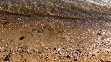 Dalgalar deniz kabuklarıyla kumsala vuruyor.