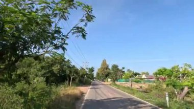 Güneşli, ağaçlarla kaplı bir cadde boyunca ilerleme