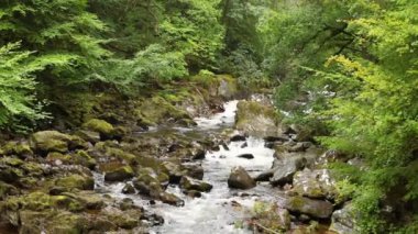 Etrafı yemyeşil şelalelerle çevrili.