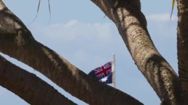 Currumbin Sahili 'ndeki ağaç dallarının arkasında bayrak sallanıyor.