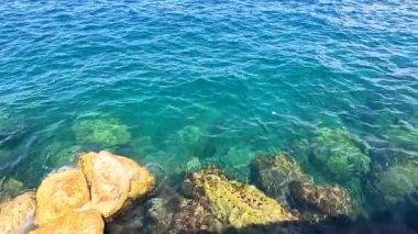 Dalgalar yavaşça kayalık kıyıya çarpar