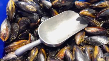 Deniz ürünleri pazarında kepçeyle sergilenen midyeler.