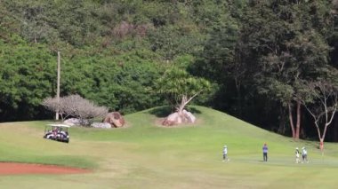 Güneşli bir günde golf oynayan golfçüler