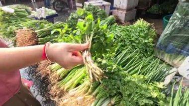 Sebze seçen ve tezgahtan sebze toplayan kişi