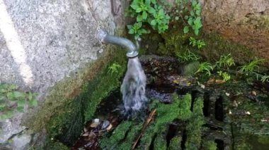 Su borudan yosun giderine akıyor.