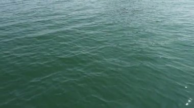 Sakin bir okyanus yüzeyinde hafif dalgalar