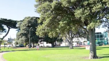 Manzaralı bir park yolunda bir yürüyüş