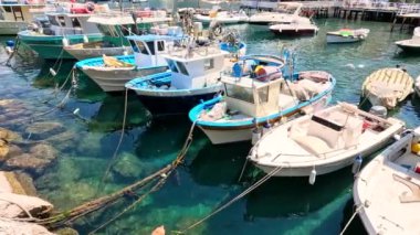 Balıkçı tekneleri güneşli bir limana yanaştı.