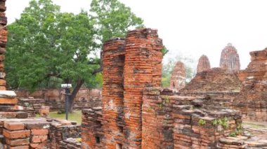 Ayutthaya, Tayland 'daki tarihi tapınak kalıntıları