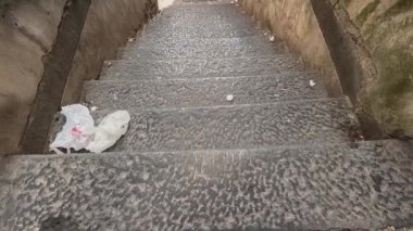 Napoli 'de grafiti ve çöp dolu merdivenler.