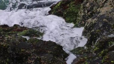 Dalgalar dalgalanır ve yosunlu kıyı kayaları üzerinde geri çekilir