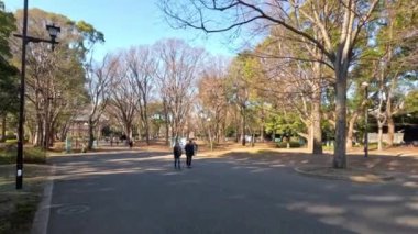 Park yolunda yürüyen iki kişi.