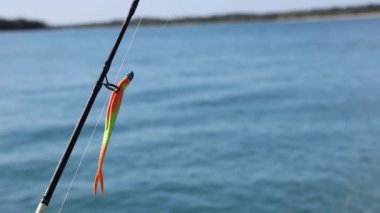 Sakin suyun üzerinde yem olan olta kamışı