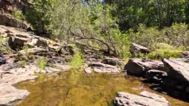 Kayaların ve bitkilerin üzerinden akan temiz akarsu