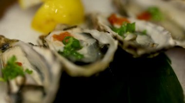 Limon dilimleri ve süslerle servis edilen istiridyeler.