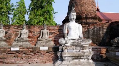 Ayutthaya, Tayland 'daki Buda heykelleri, antik pagoda yakınlarında.