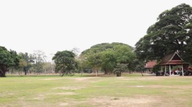 Ayutthaya 'nın tarihi tapınak kalıntılarının panoramik görüntüsü