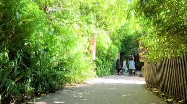 Ziyaretçiler Melbourne Hayvanat Bahçesi 'ndeki yemyeşil alanları keşfediyorlar