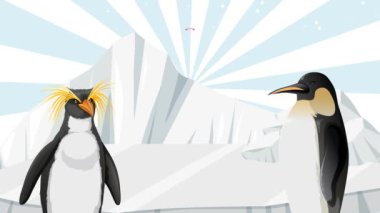 Animasyon penguenler özel günlerini kutlamak için toplandılar.