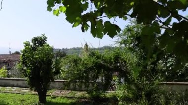 Berrak mavi gökyüzünün altında yemyeşil