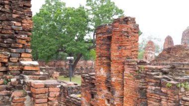 Tarihi Ayutthaya tapınağı kalıntılarını araştırmak