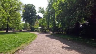 İnsanlar yemyeşil bir parkta yürüyor.