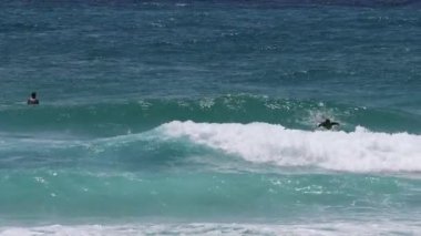 Dalgaların tadını çıkaran bir grup sörfçü.