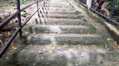 Canlı yeşillikler ve ağaçlar arasında yükselen adımlar