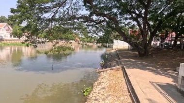 Göllü sakin bir park sahnesinin ilerlemesi