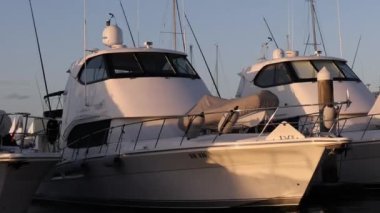 Limanda demirlemiş yatların huzurlu manzarası.