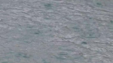 Bir su kütlesine çarpan yağmur damlalarının yakın görüntüsü