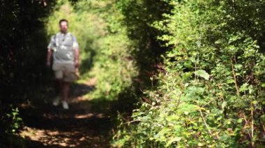 Yemyeşil bir orman yolunda yürüyen bir adam