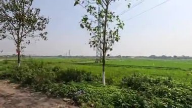 Enerji hatları olan yemyeşil alanlar