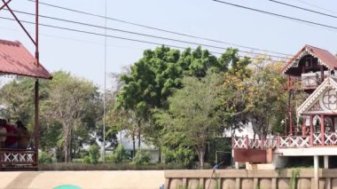 Parkın üzerinde gezintiyi seven yolcular